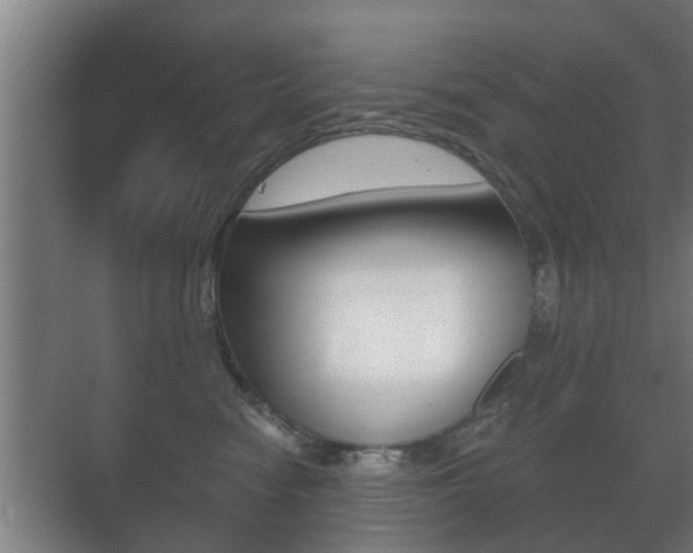 X0000071380474200606230918