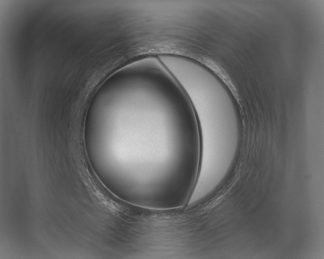 X0000071380481200606230918