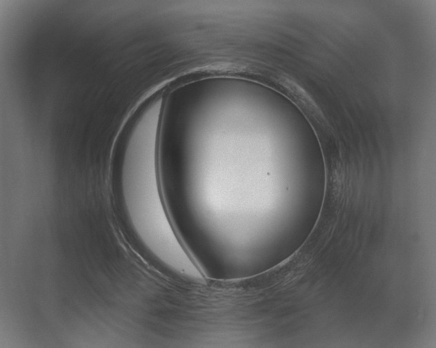 X0000071380484200606230918