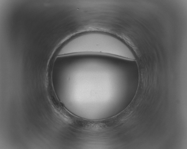 X0000071380488200606230918