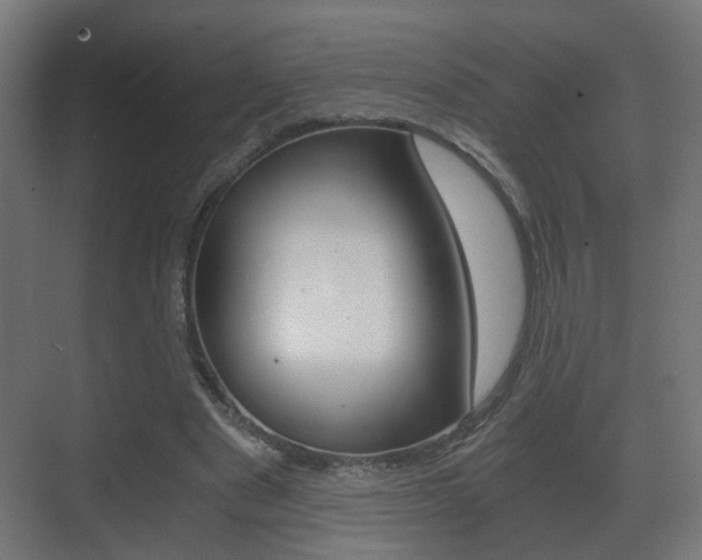X0000071380489200606230918