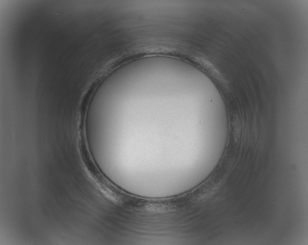 X0000071380490200606230918