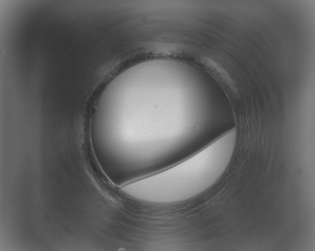 X0000071380496200606230917