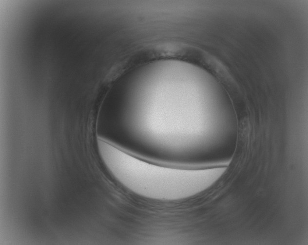 X0000071380509200606230917