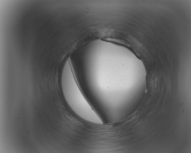 X0000071380516200606230917