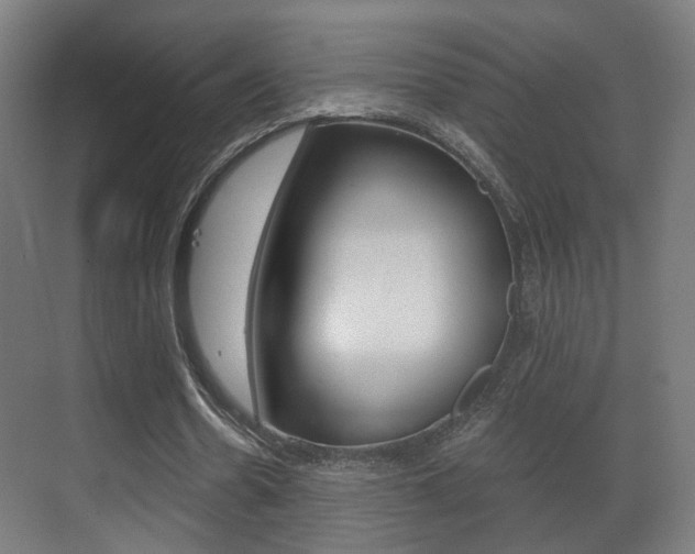 X0000071380530200606230916