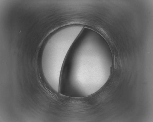 X0000071380531200606230916