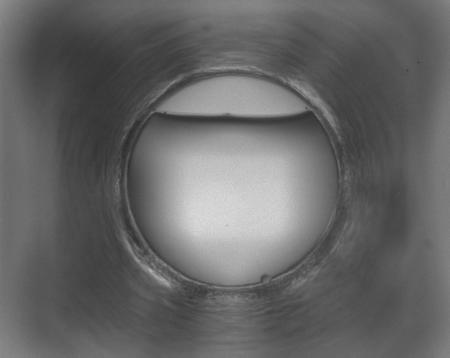 X0000071380533200606230916