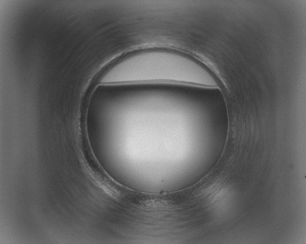 X0000071380535200606230916