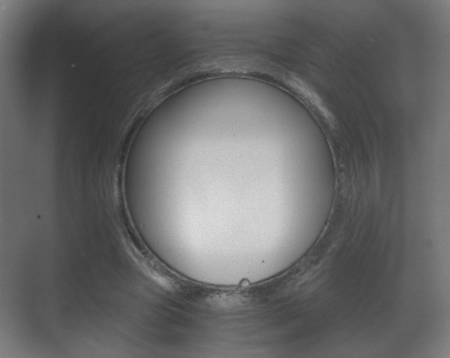 X0000071380537200606230916