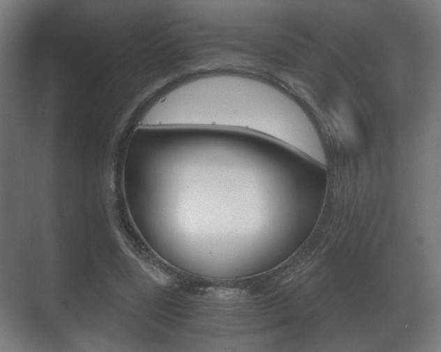 X0000071380539200606230916
