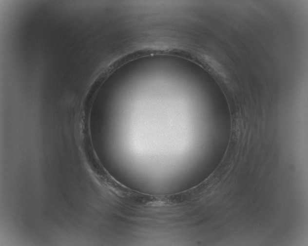 X0000071380544200606230916
