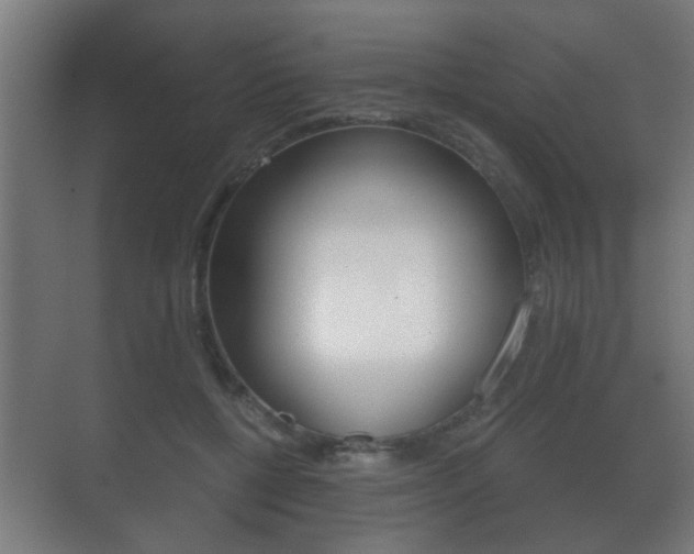 X0000071380552200606230917