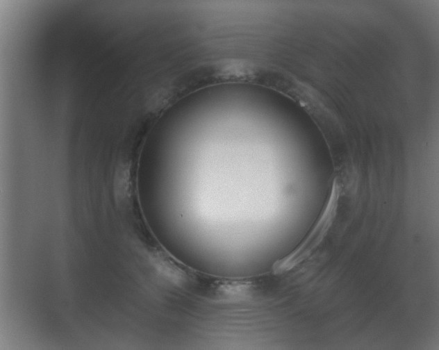 X0000071380560200606230917
