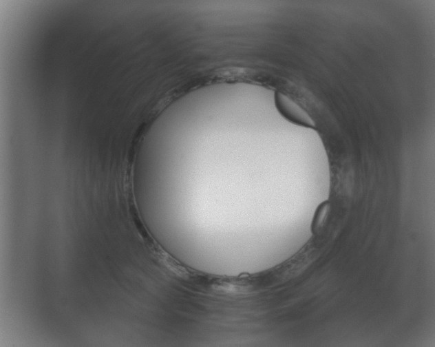 X0000071380561200606230917