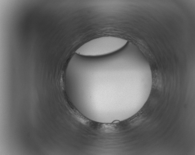X0000071380573200606230917