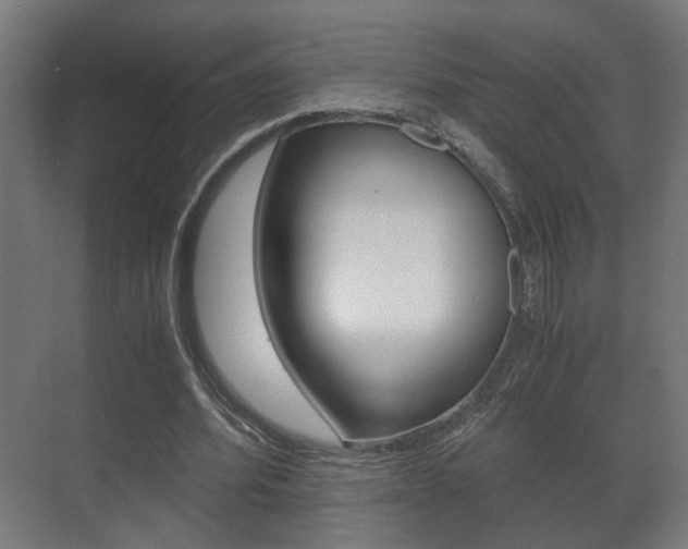 X0000071380580200606230916