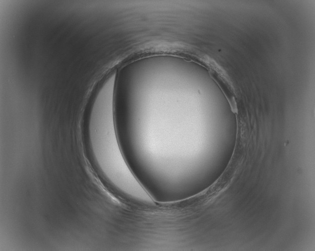 X0000071380581200606230916