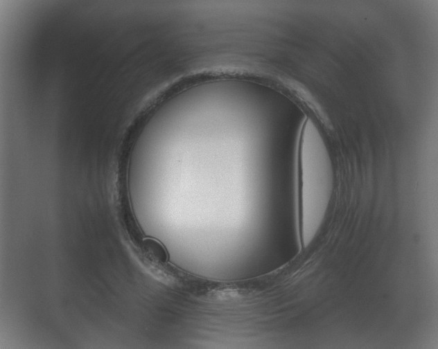 X0000071380588200606230916