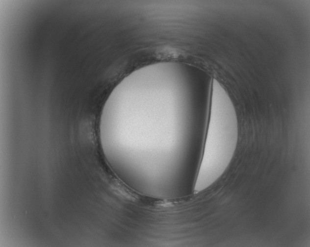 X0000071380616200606230915