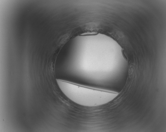 X0000071380623200606230915
