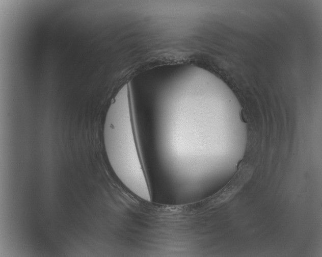 X0000071380624200606230915