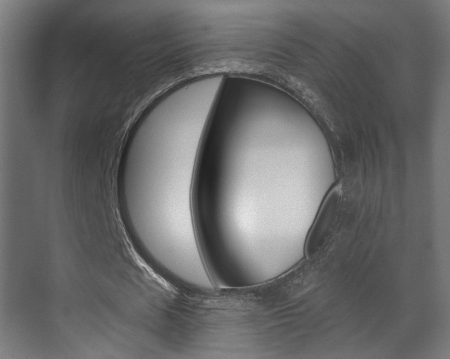 X0000071380625200606230914