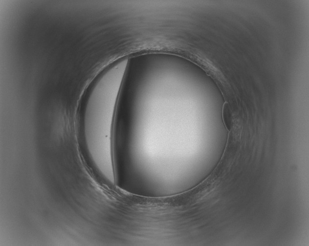 X0000071380626200606230915