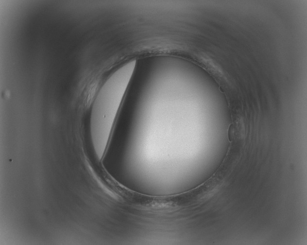 X0000071380638200606230915