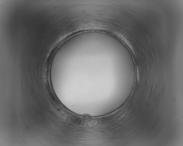 X0000071380675200606230914