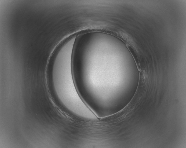 X0000071380676200606230914