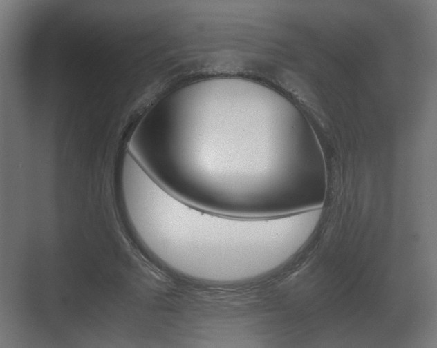 X0000071380681200606230914