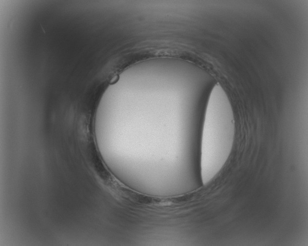 X0000071380695200606230914