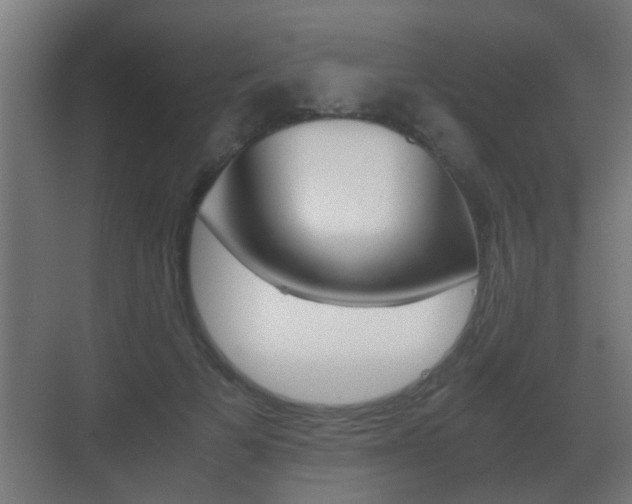 X0000071380697200606230914