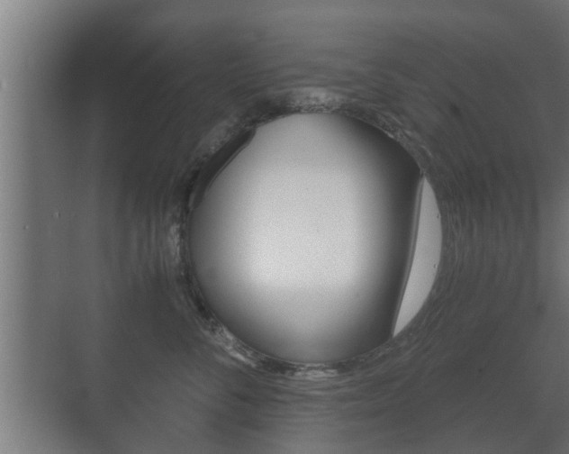 X0000071380716200606230914