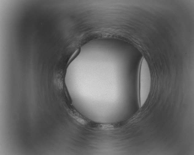 X0000071380719200606230914