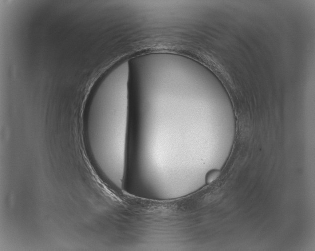 X0000071380721200606230913
