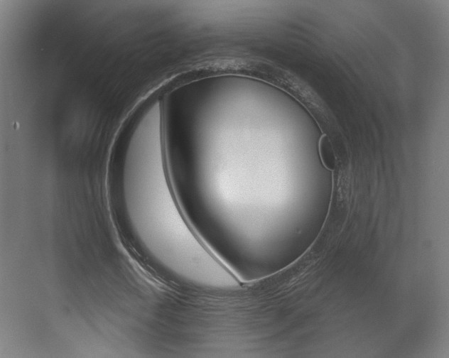 X0000071380722200606230913