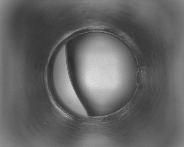 X0000071380726200606230913