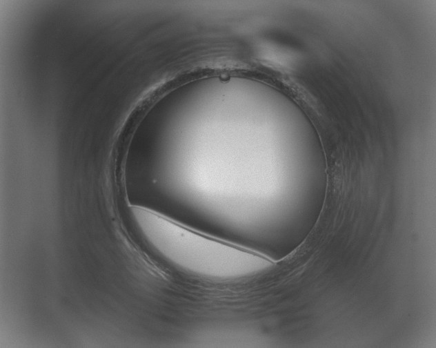 X0000071380727200606230913