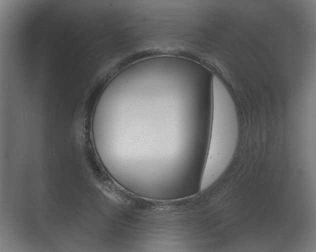 X0000071380736200606230913