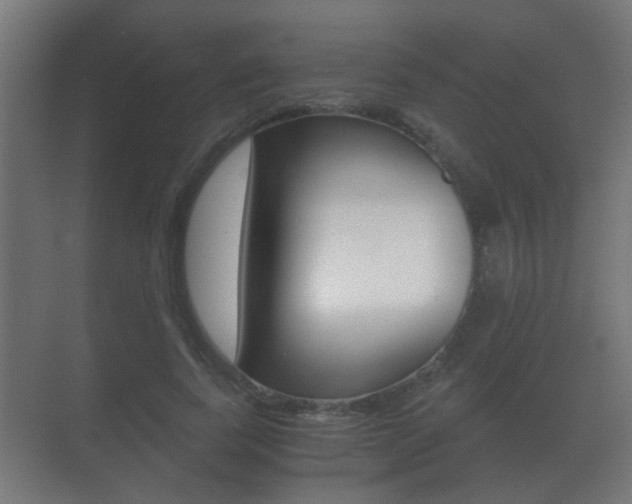 X0000071380739200606230913
