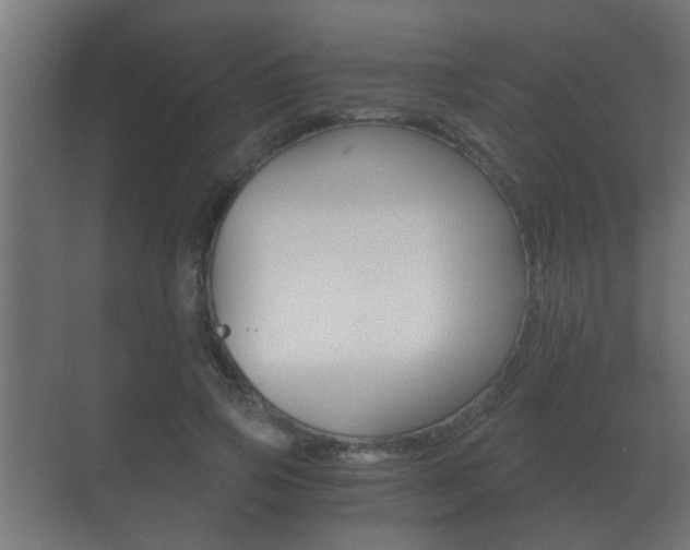 X0000071380741200606230913