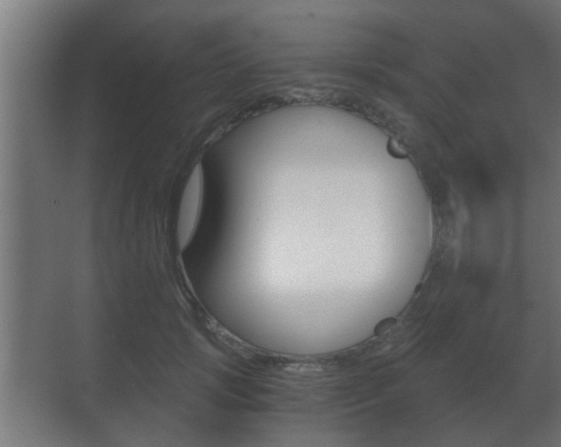 X0000071380749200606230913