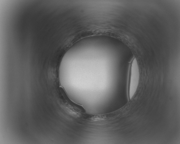X0000071380756200606230913