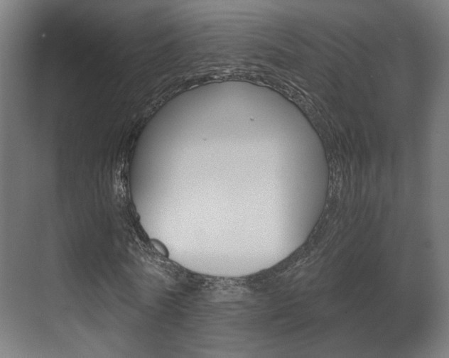 X0000071380770200606230913