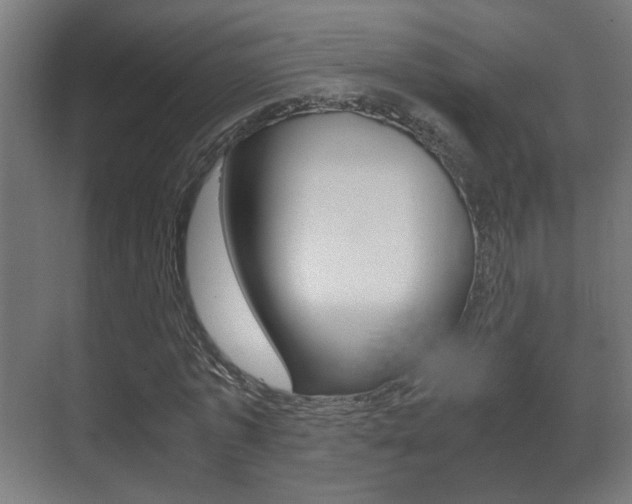 X0000071380773200606230913