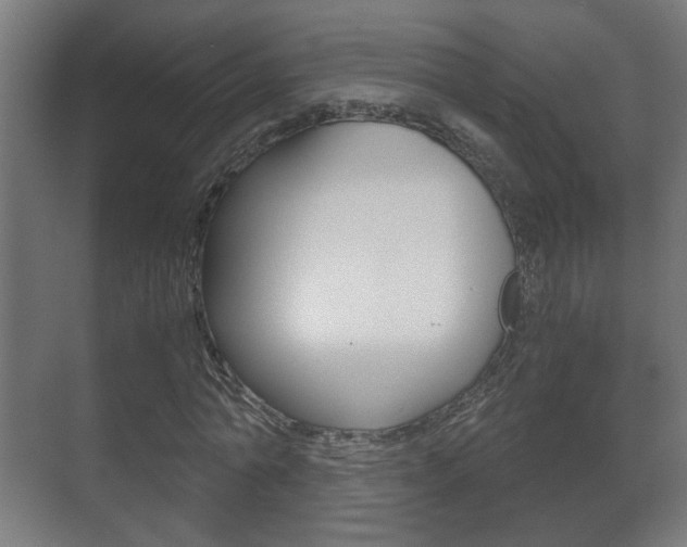 X0000071380774200606230913