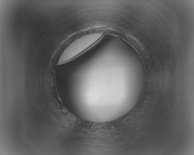 X0000071380776200606230913