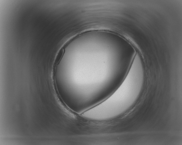X0000071380797200606230912
